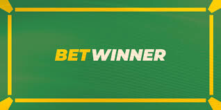Discover the Excitement of Betwinner Casino