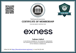 Maximize Your Trading Potential with Free Exness Mt4 Trading Platform Maximize Your Trading Potential with Free Exness Mt4 Trading Platform