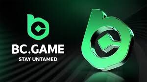 Verification Process in the BC Casino App A Comprehensive Guide Verification Process in the BC Casino App A Comprehensive Guide