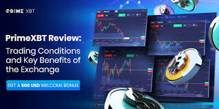 Unlocking the Potential of Crypto Trading with PrimeXBT -629941796 Unlocking the Potential of Crypto Trading with PrimeXBT -629941796