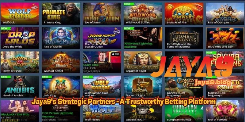 Exploring Slot Games with Local Players