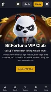 The Biggest Wins on Dragon's Luck A Journey through Fortune The Biggest Wins on Dragon's Luck A Journey through Fortune