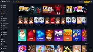 The Biggest Wins on Dragon's Luck A Journey through Fortune The Biggest Wins on Dragon's Luck A Journey through Fortune